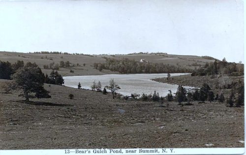 Bear Gulch Pond, near Summit, N.Y.