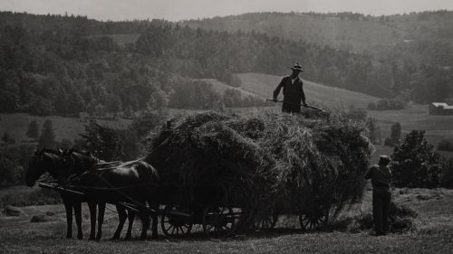 Two horses pulling a wagon filled with hay with two people loading the hay.