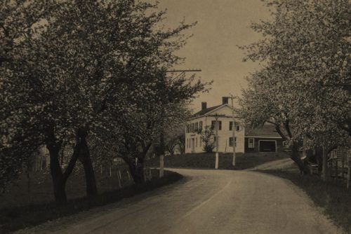 A road surrounded by trees leading to a house.