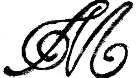 maalwyck logo