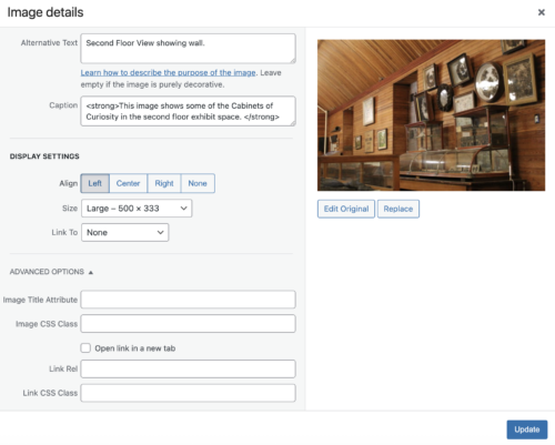 Screenshot of Alternate text and caption added to webpage.